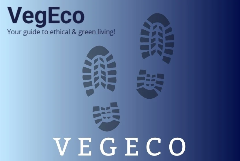 How Does Vegeco Calculate Your Carbon Footprint?