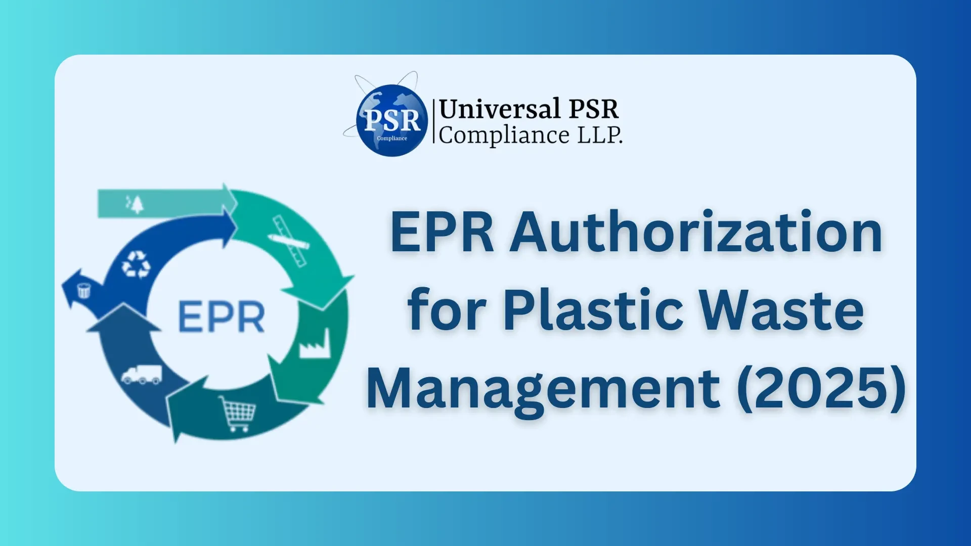 Understanding the Plastic Waste Crisis and How We Can Fix It