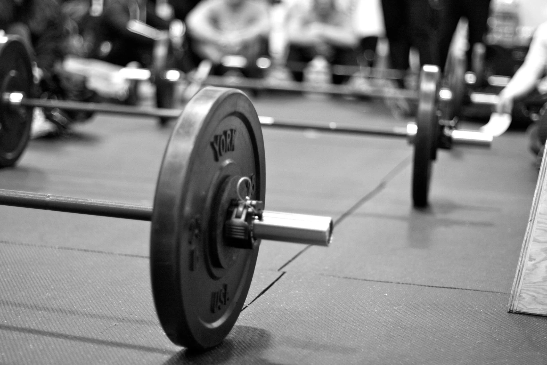 How to Open Your Own Gym in Mumbai