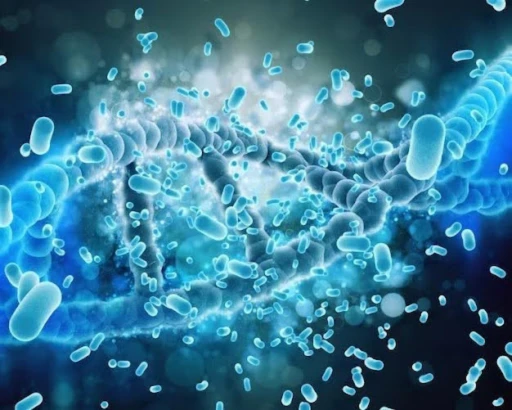 Lactobacillus Rhamnosus GG Manufacturers