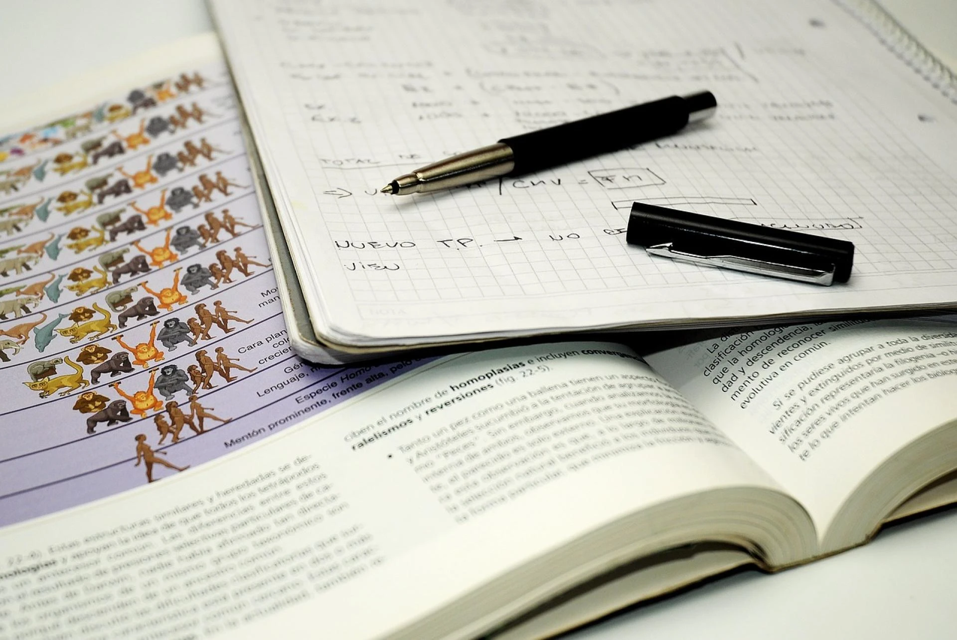 Mastering the NEET Exam: Your Comprehensive Guide to Success