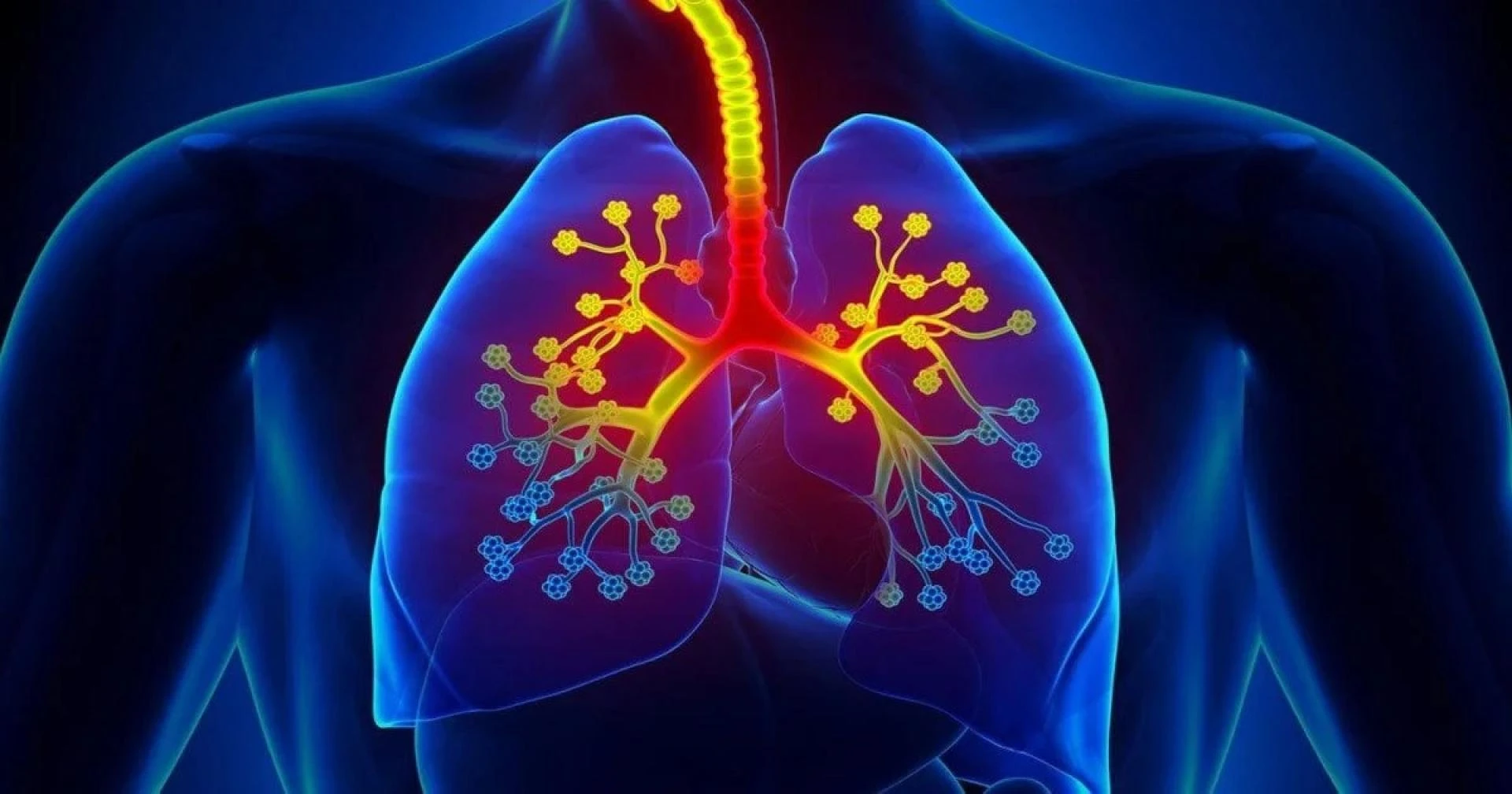 Breathing Easy in the Sacred City: Your Guide to Finding the Best Asthma Doctor in Varanasi
