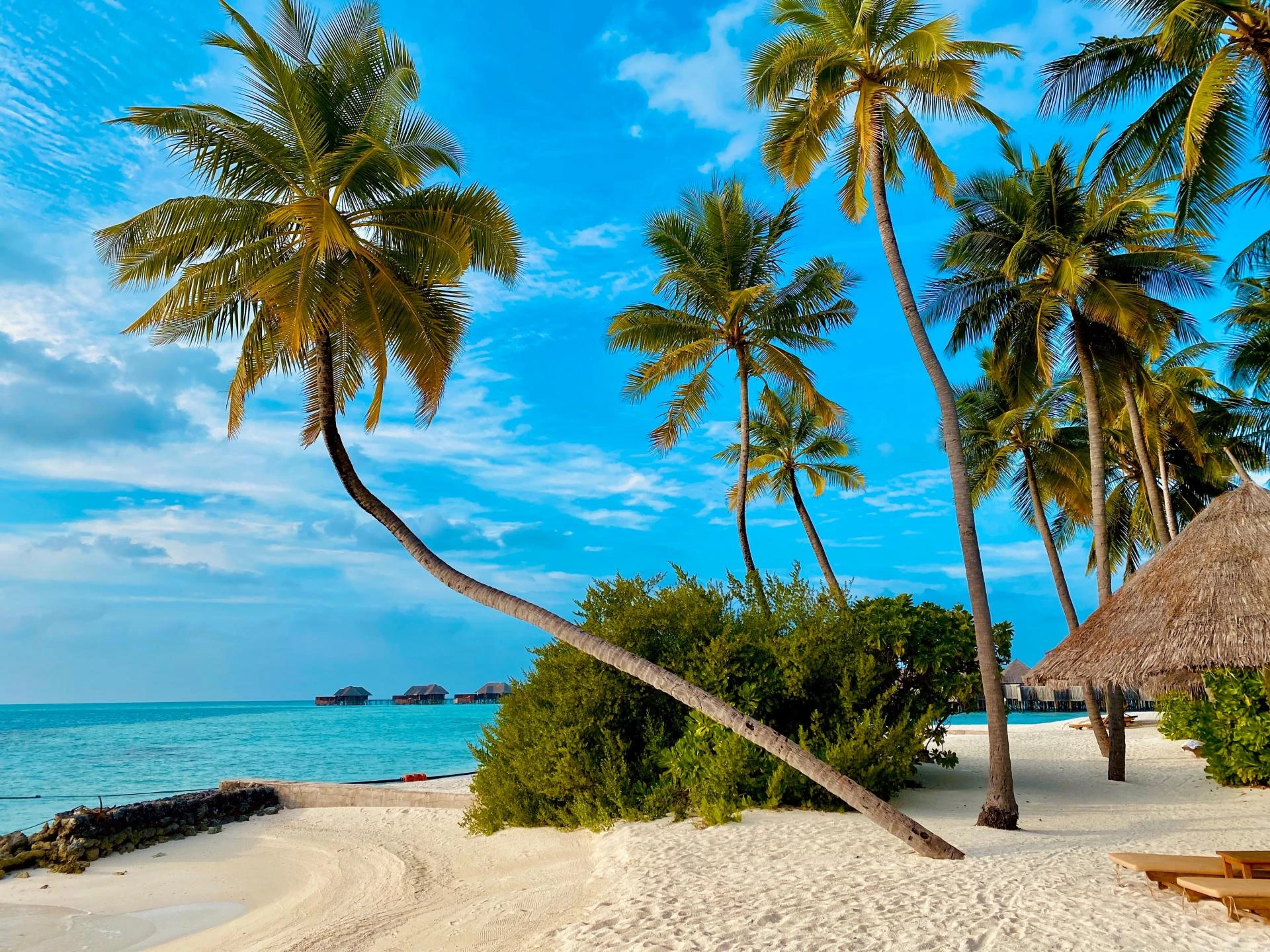 Whispers of the Atolls: Discovering the Untold Maldives
