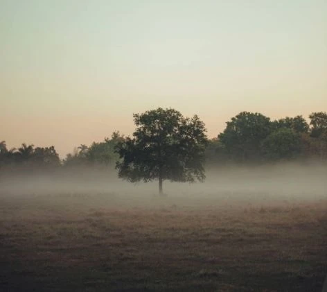 Why Is a Property Listed as ‘Abandoned Industrial Buildings UK’?