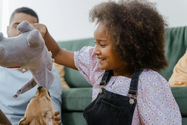 Bitten by a Dog? 4 Important Things to Do Afterwards 