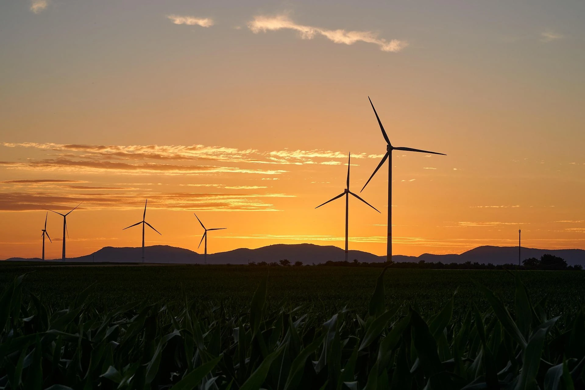Powering Renewable Growth Through Collective Solutions