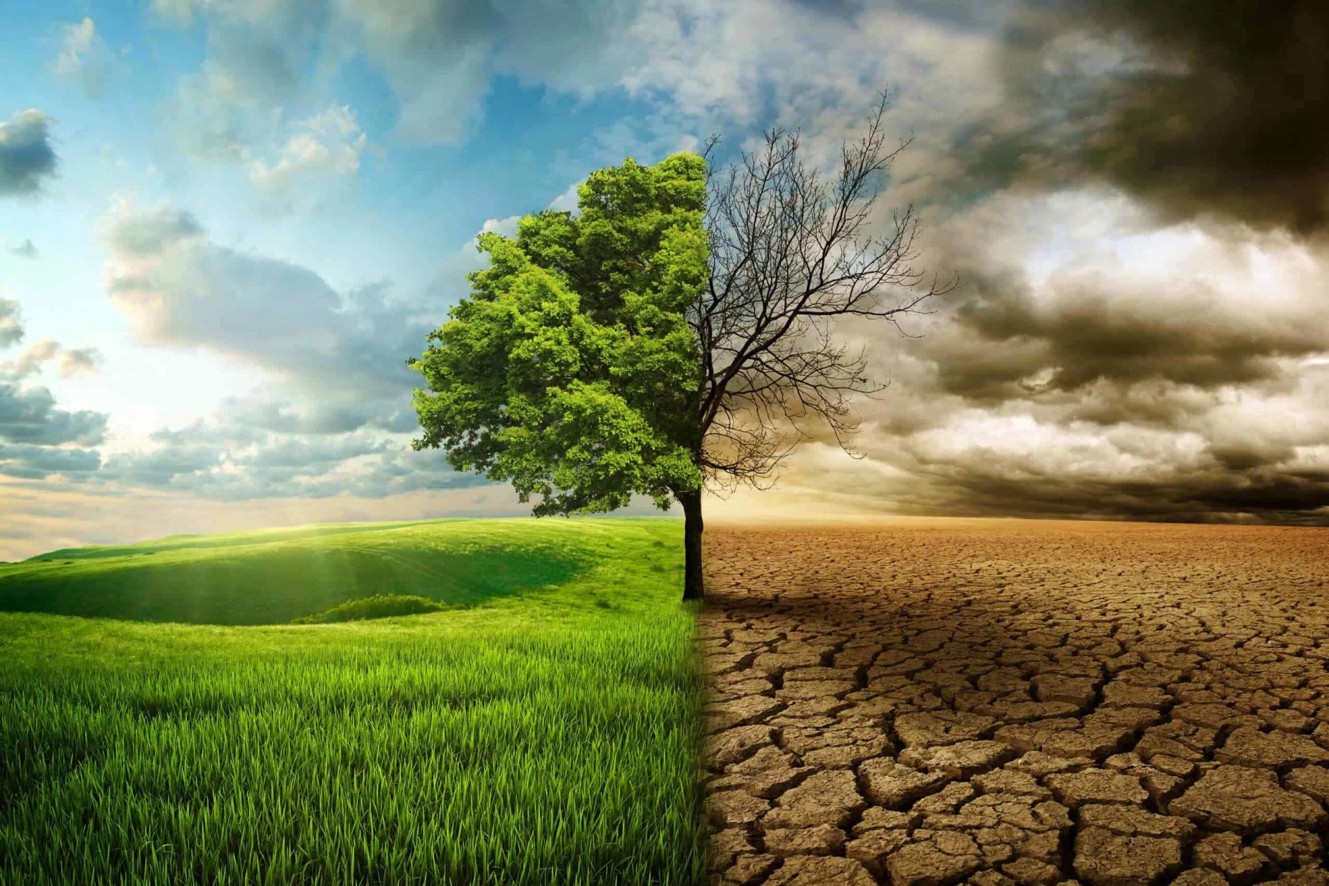 Climate Change: A Global Challenge Demanding Urgent Action