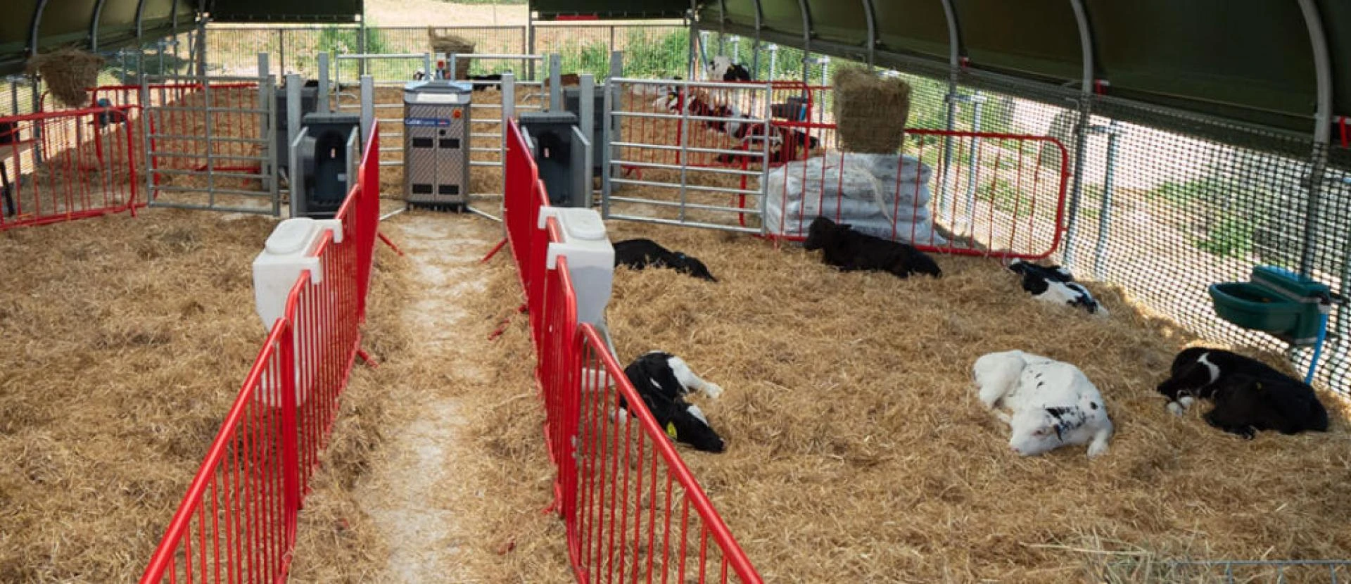 Nowoczesne Hale Namiotowe dla Bydła | McGregor Agri