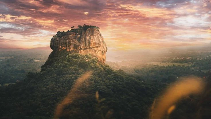 Ayurveda, Tea, and Temples: A Cultural Journey Through Sri Lanka