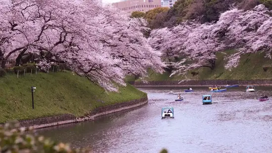 Tailor-Made Vacations: Travel Your Way