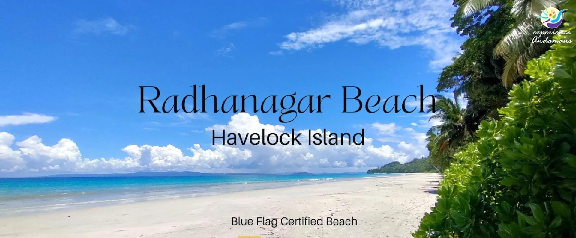 A Sigh of Relief in Havelock – The Spiritual Draw of Scuba Diving in Andaman
