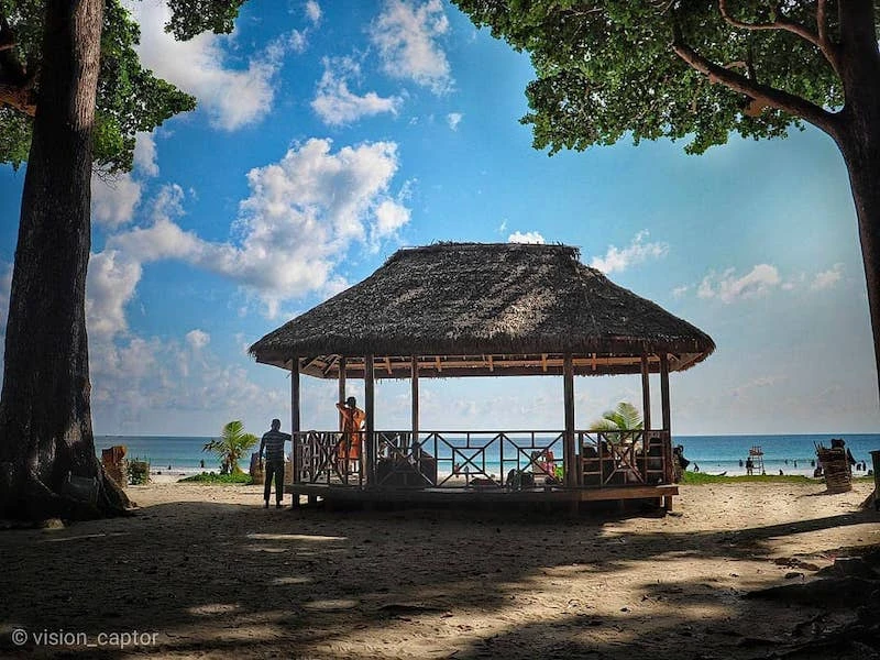 Under the Blue: Unraveling the Enchantment of Scuba Diving in Havelock