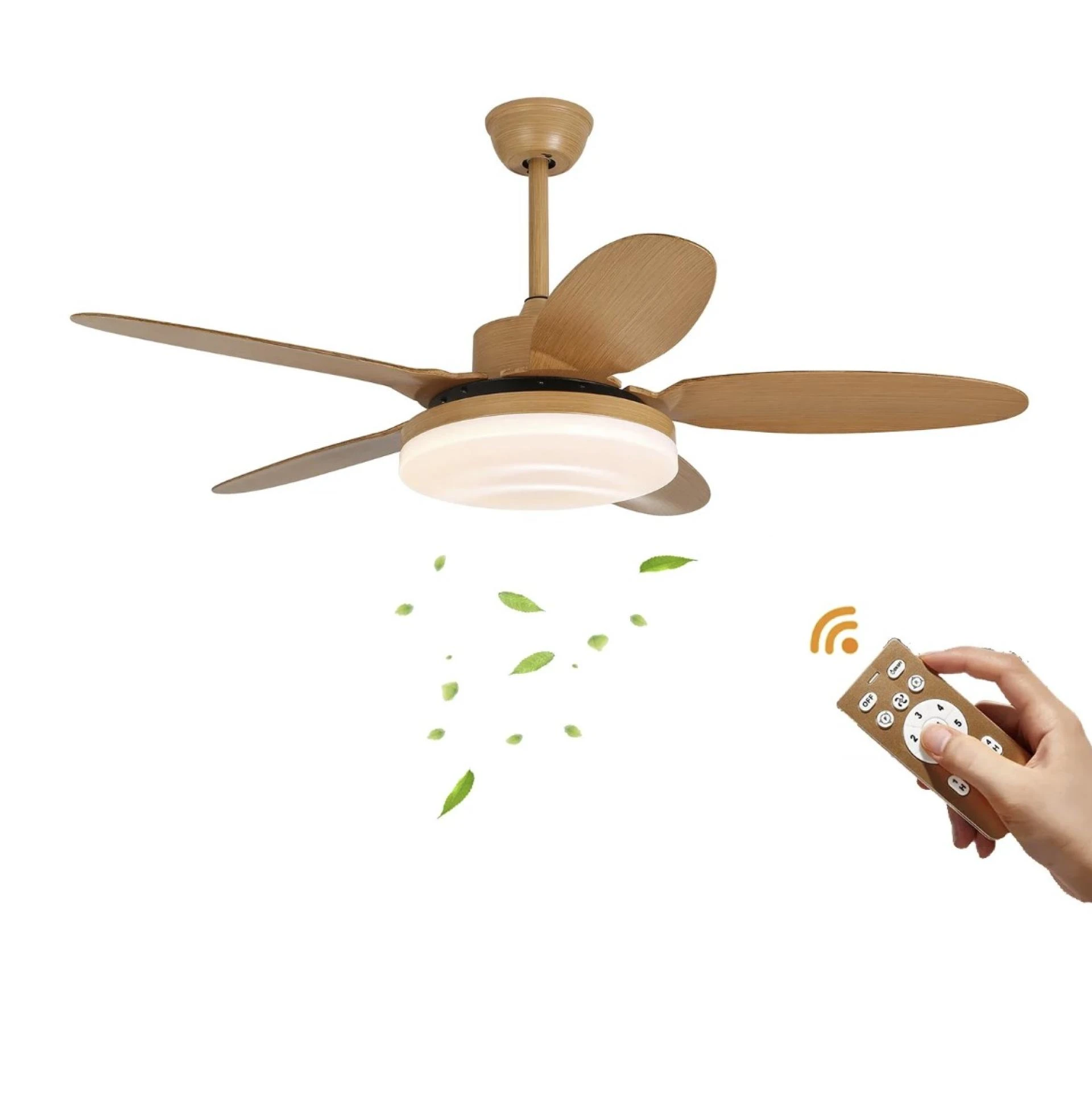 Ceiling Fans in Educational Environments: From School Days to Modern Learning Spaces