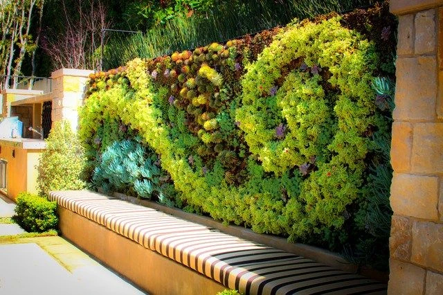 Indoor vs. Outdoor Green Walls: Which One Is Right for You?