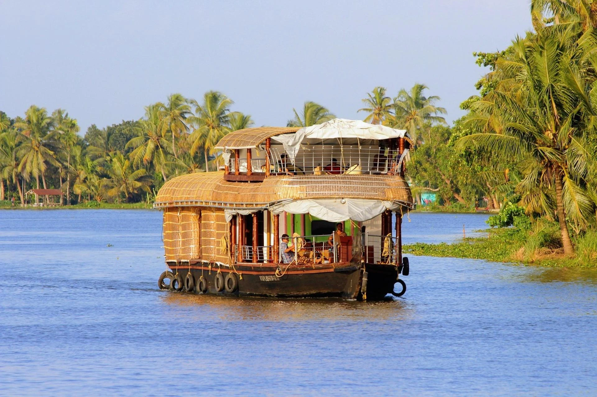 A Jungle for the Soul: Your Complete Guide to Sustainable Eco-Tourism & Wildlife Tours in India 2026