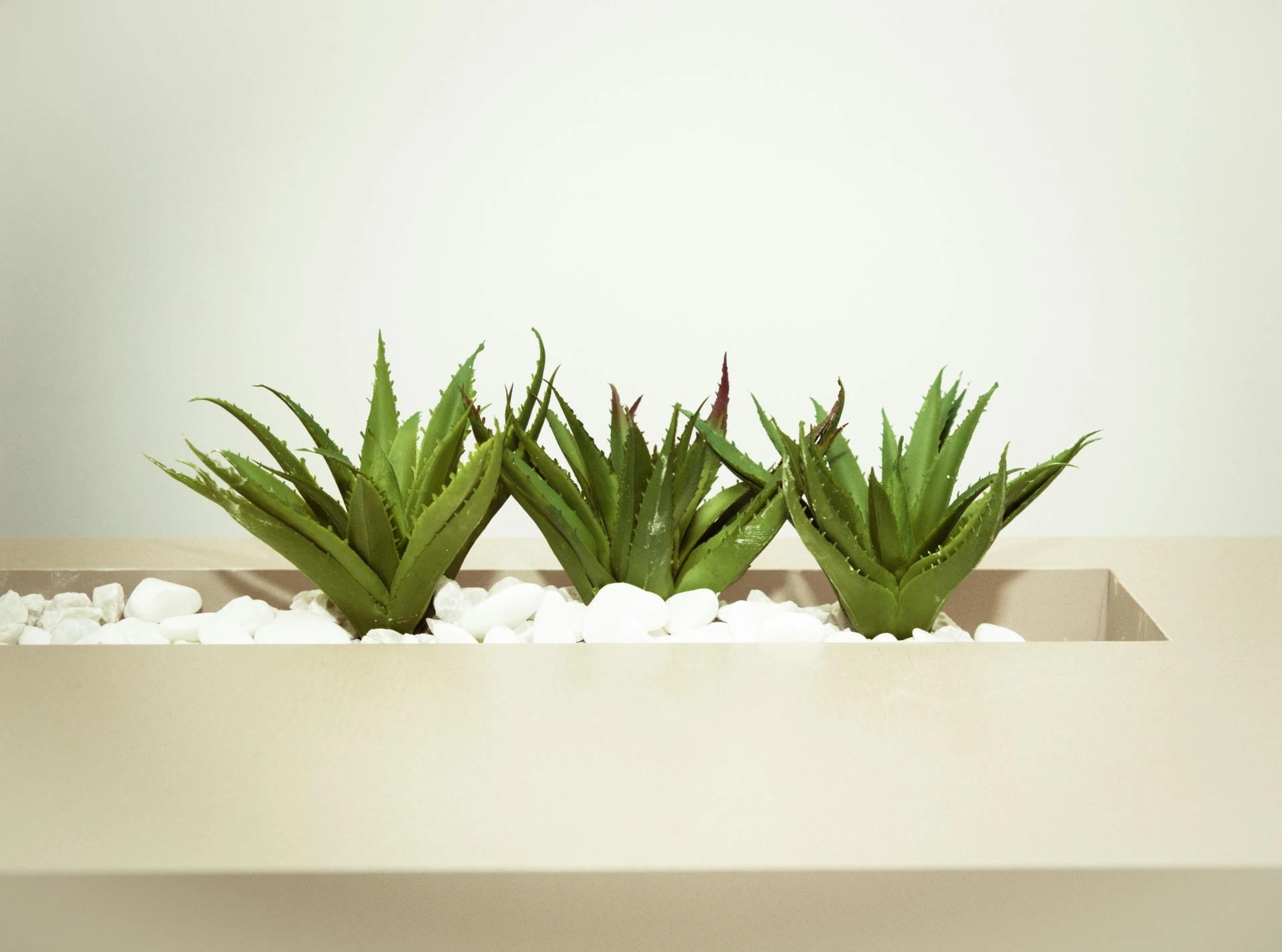 The Secret to Hydrated Hands and Feet Using Aloe Vera Gel