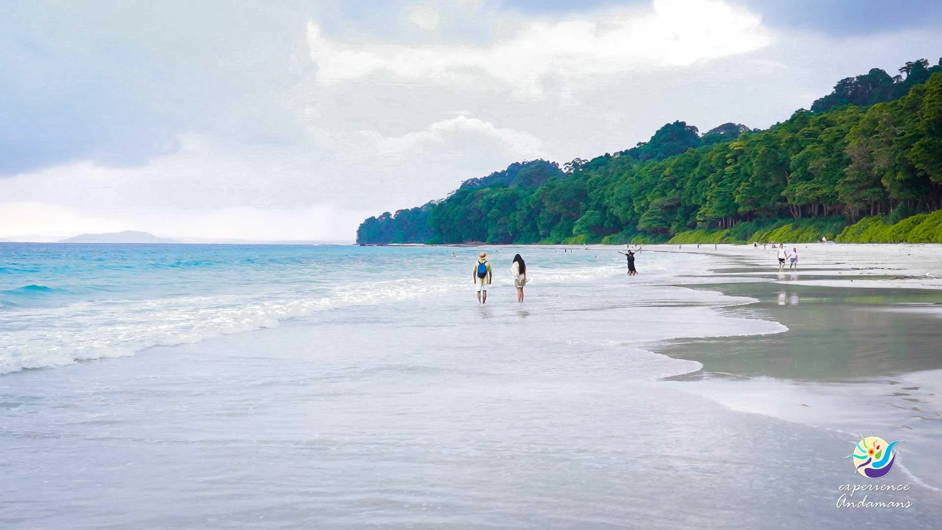 Beneath the Blue: A Dive into the Top Scuba Diving Spots of Havelock Island