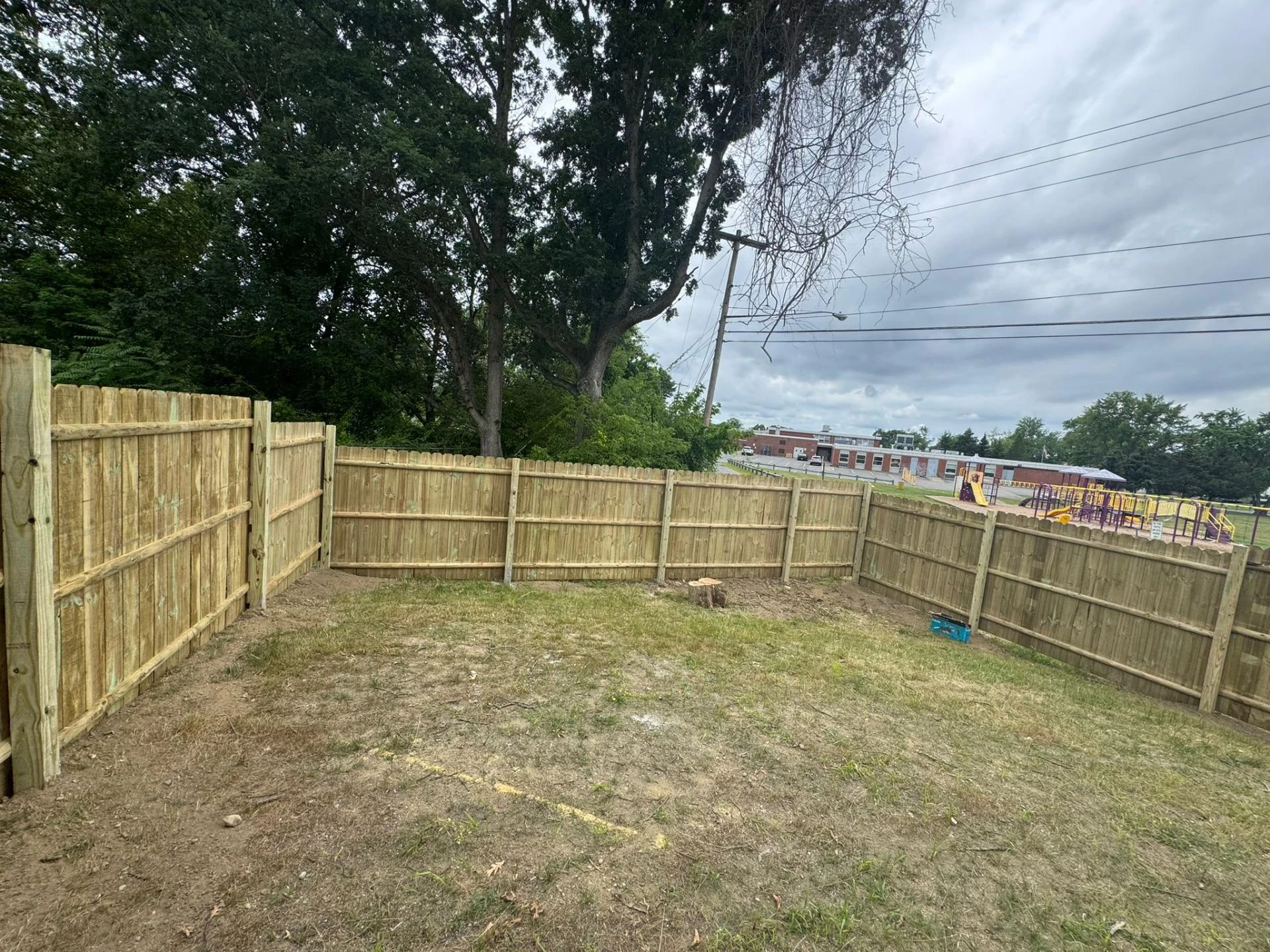 Eco-Friendly Fence Options for Environmentally Conscious Buffalo Homeowners
