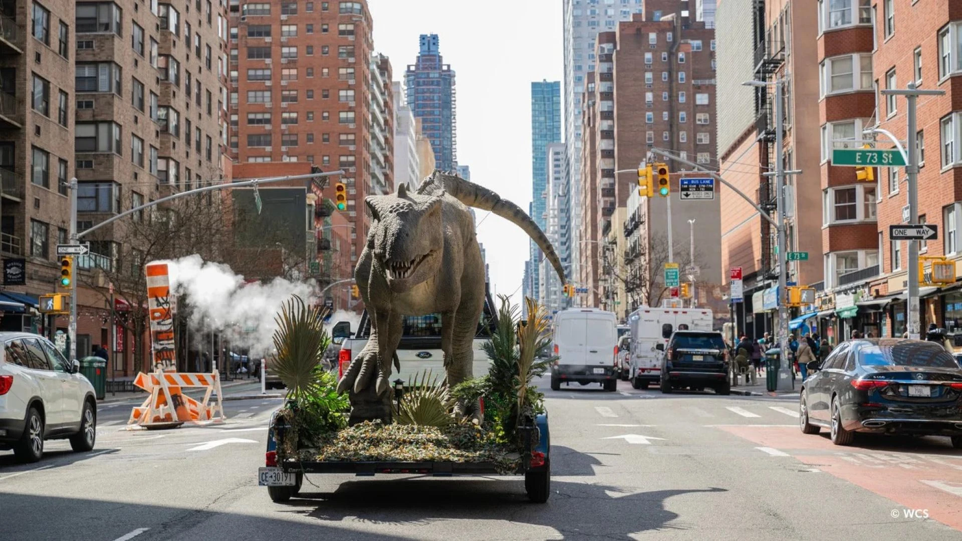 Illuminating the Extraordinary: Aurora Dinosaur as the Premier Lantern Event Supplier