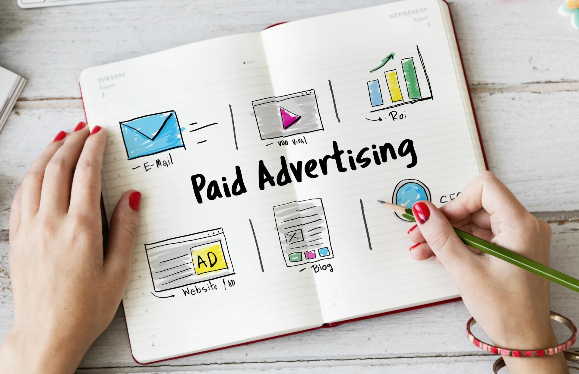 Paid vs. Organic Search: Which One is Better for Long-Term Lead Generation?