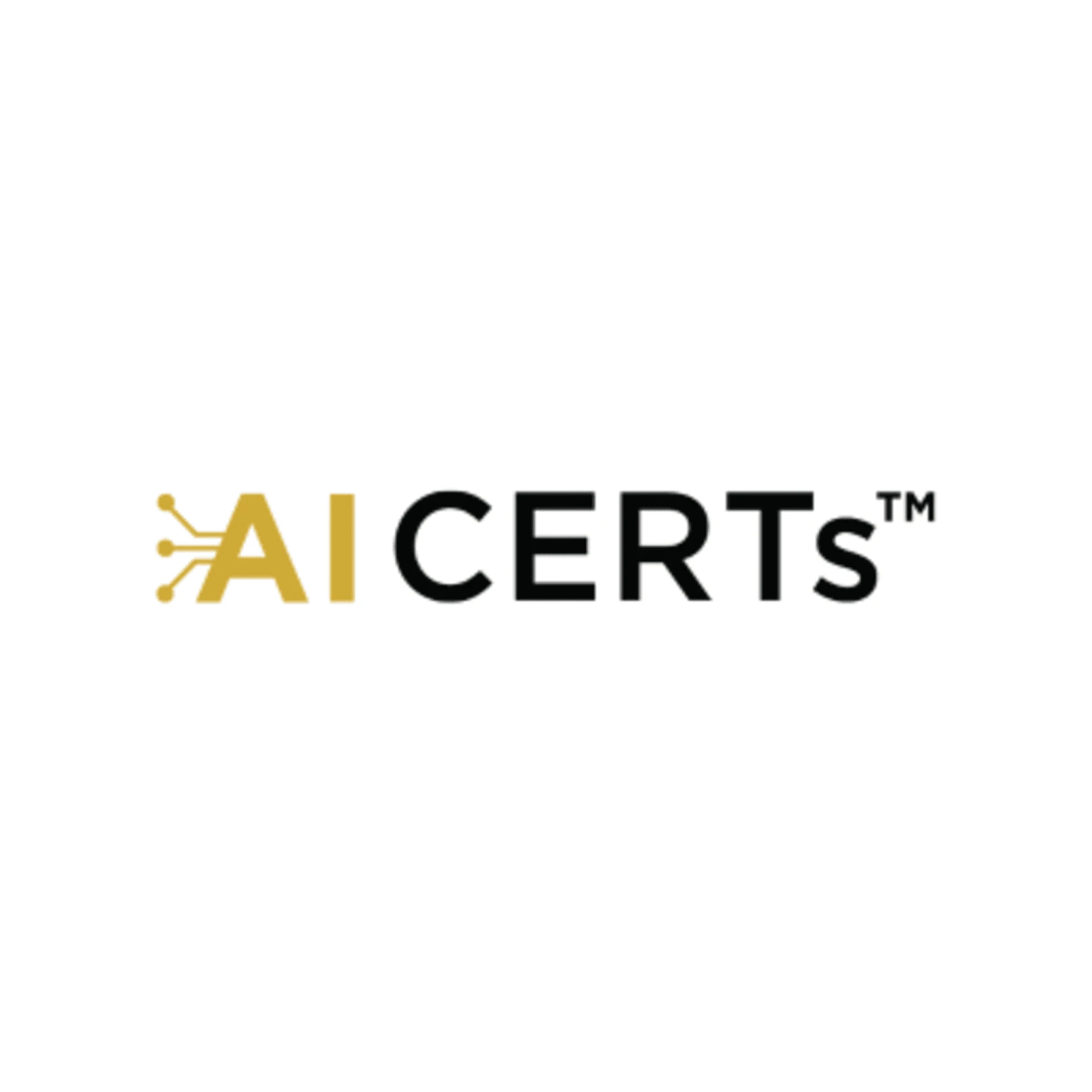 How AI Training Programs Help Governments Build Future-Ready Workforces.