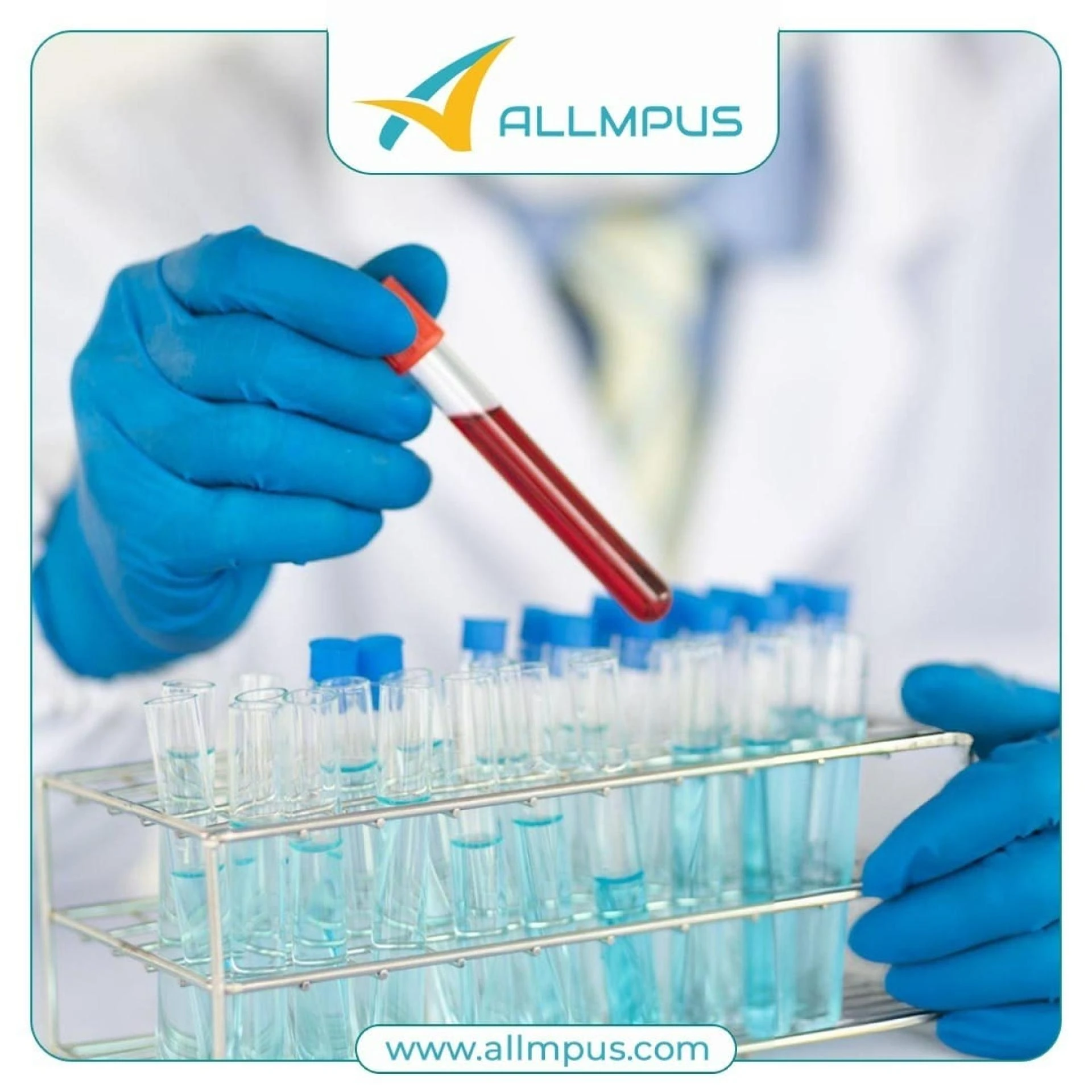 Understanding Tacrolimus Impurities and Their Role in Pharmaceutical Quality Assurance
