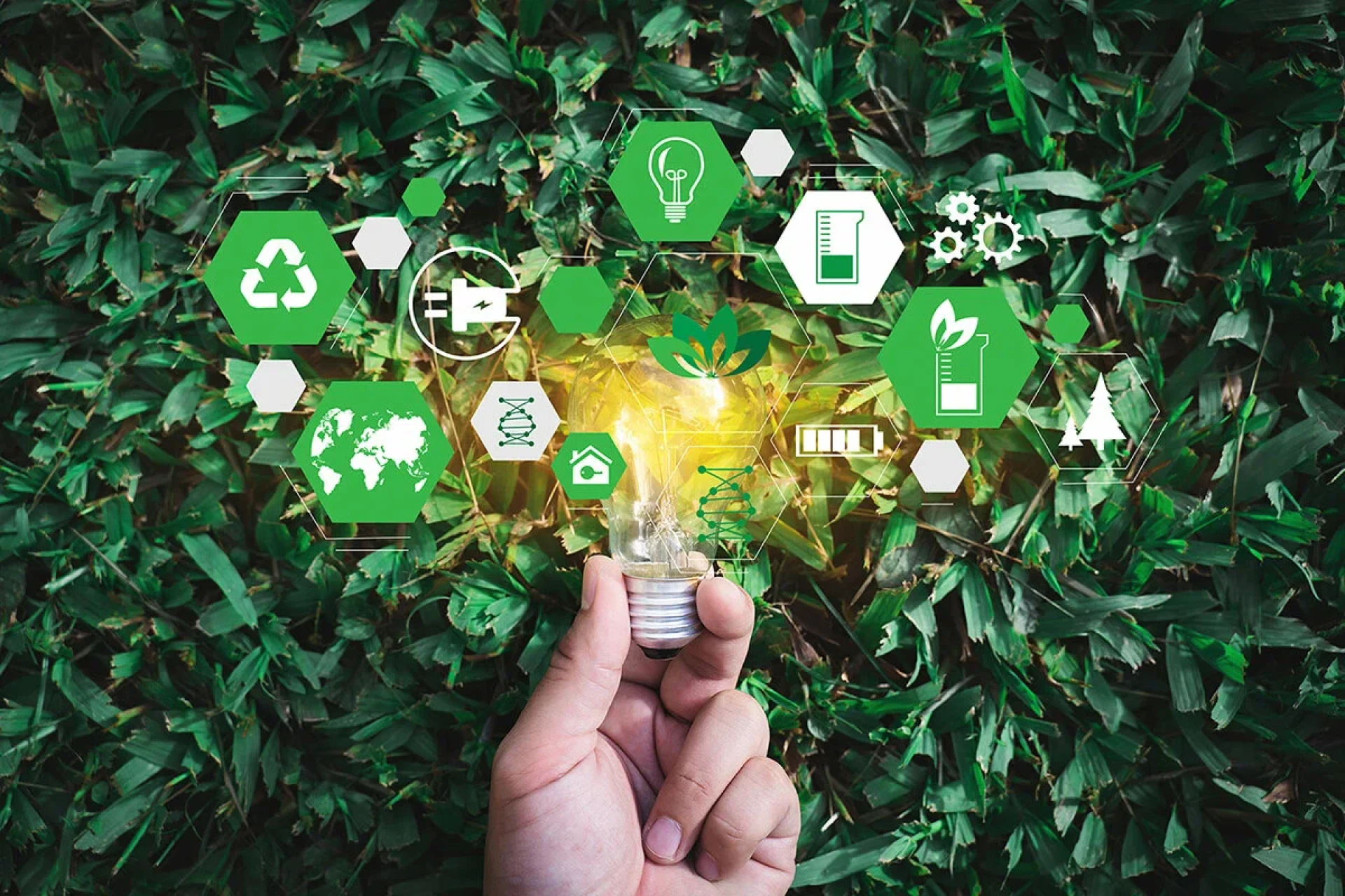 What Are Sustainability Services and How Do They Benefit Businesses?