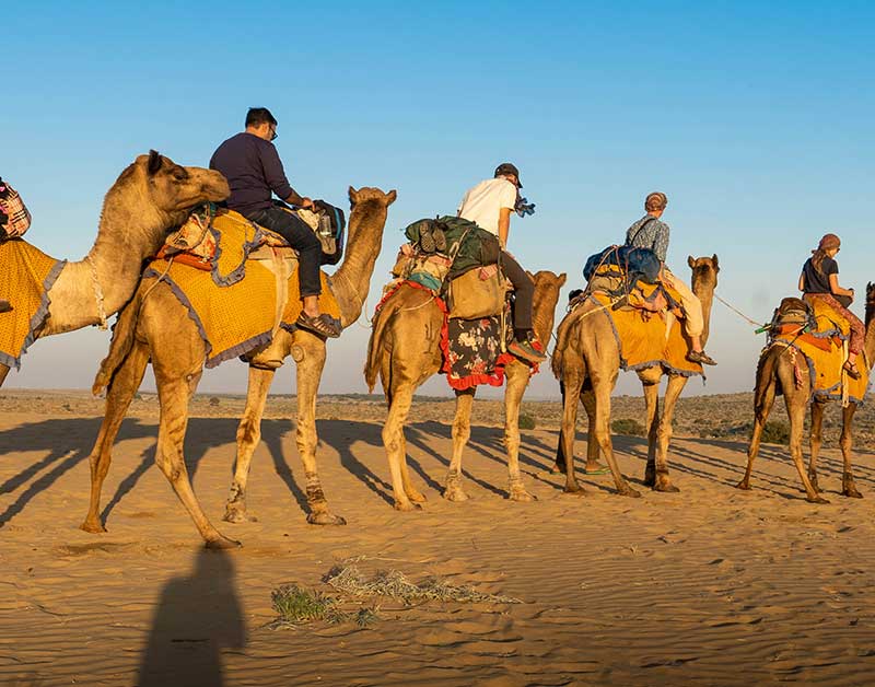 Experience the Thar Desert: Exciting Activities You Can’t Miss on Tour