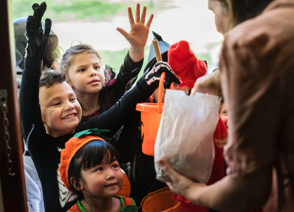 Empowering Communities: The Vital Role of NGOs in the Netherlands
