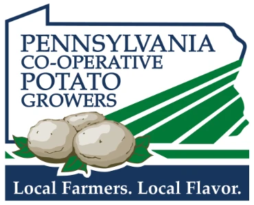 How to Choose the Best Potato Supplier for Your Business