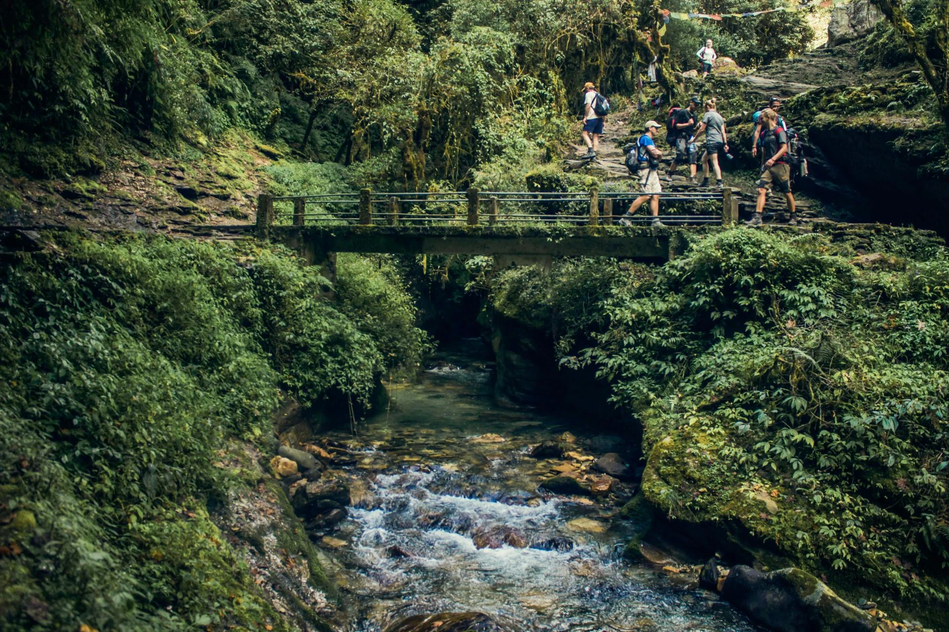 Experience Peaceful Villages and Breathtaking Mountains on Ghorepani Poonhill Trek