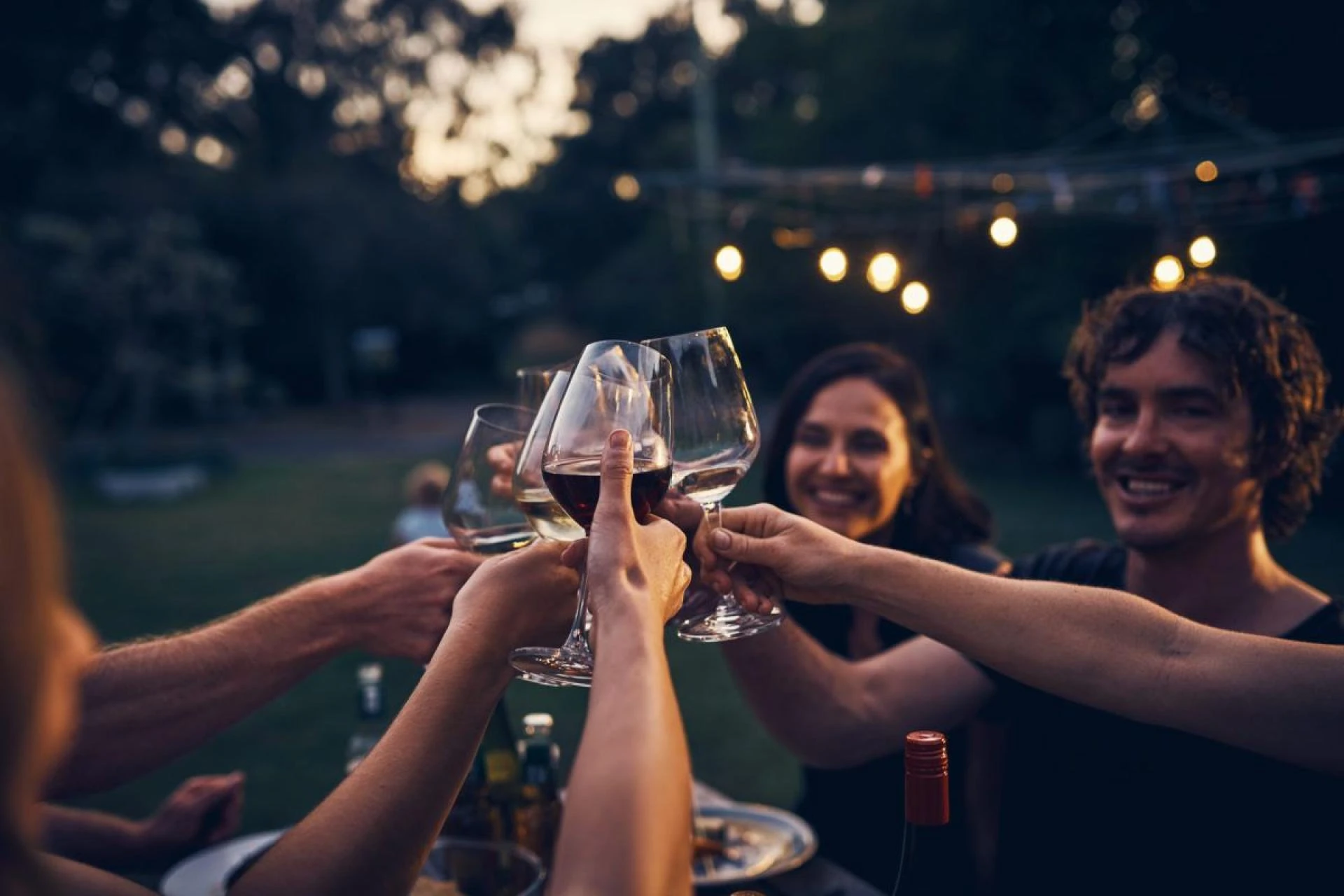 Discover Chicago’s Thriving Wine Scene