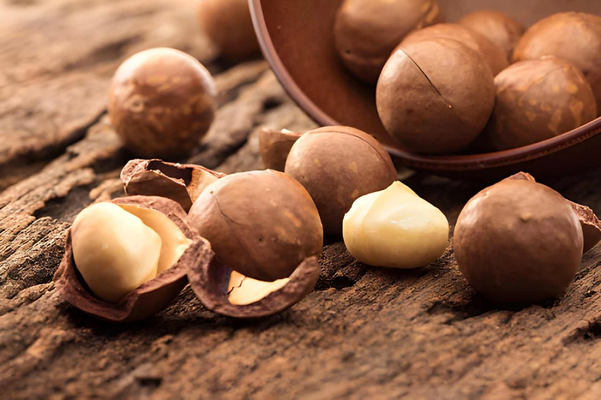 Email Marketing Ideas to Boost Online Sales of Macadamia Nuts