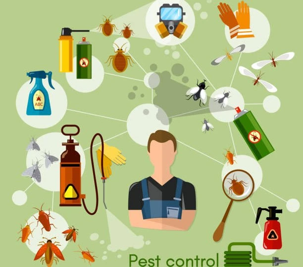Top Benefits of Hiring the Best Fumigation Services for Your Property