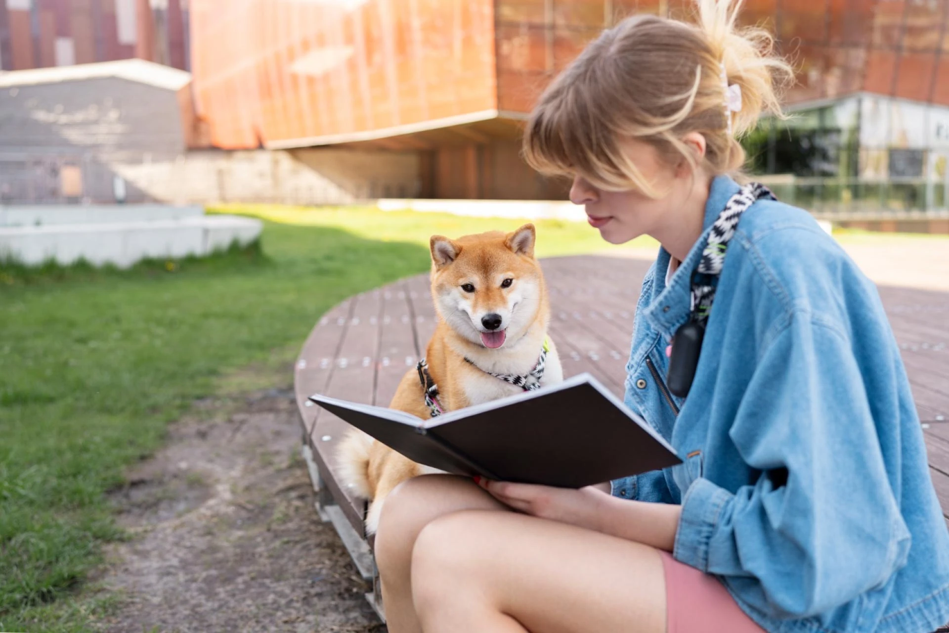 How Often Should You Take Your Dog or Cat to the Vet? A Las Vegas Pet Owner’s Guide