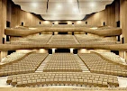 Acoustic Ceiling Panels Muscat: Transform Your Space with Superior Sound Control