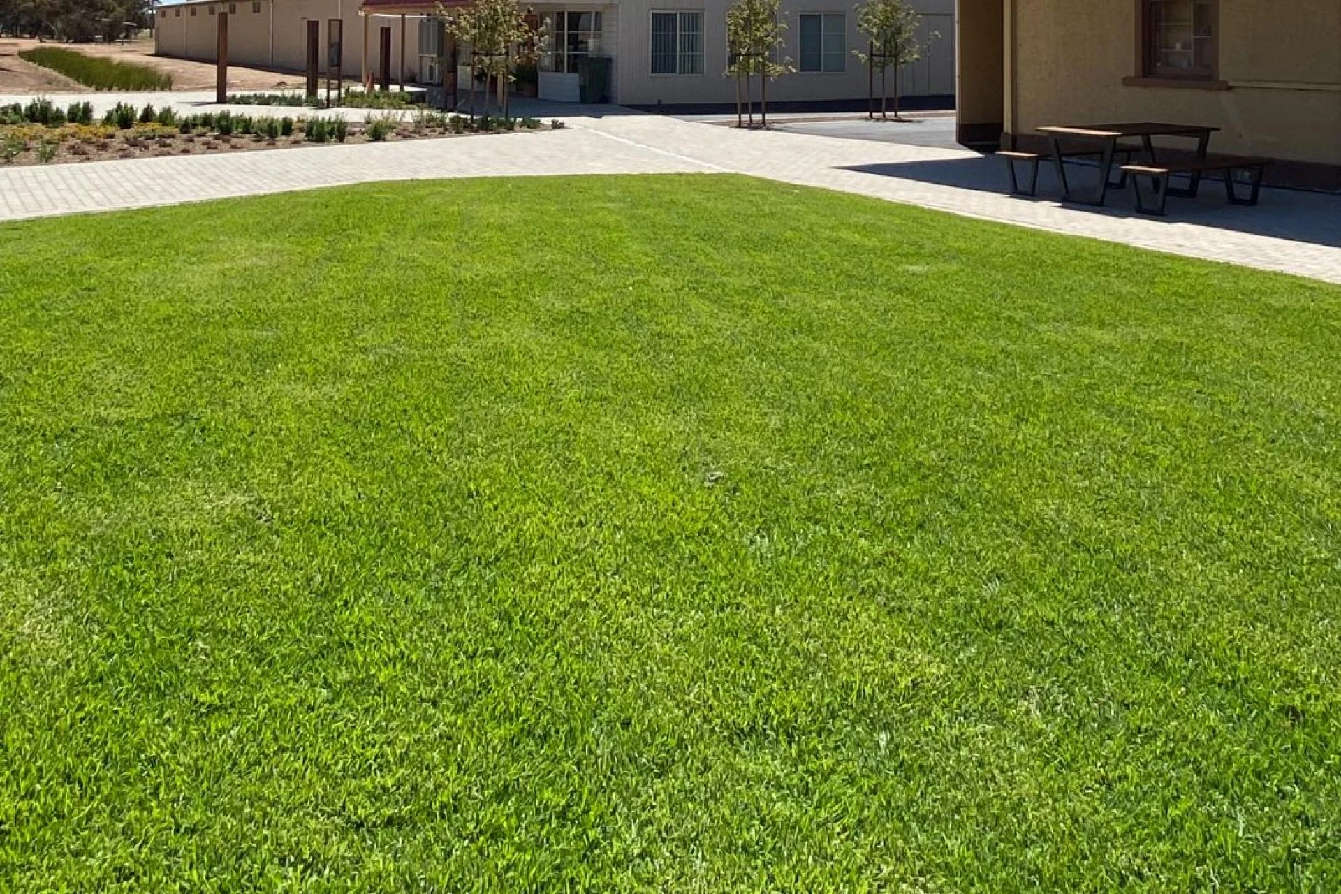 The Ultimate Guide to Lawn Types and Their Care Requirements
