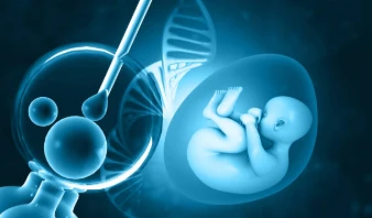 Age and Fertility – How Age Affects Egg and Sperm Quality