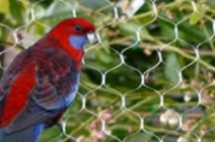 Anti Bird Net Manufacturers | Anti Bird Net Manufacturing Process Explained | Arthi Enterprises