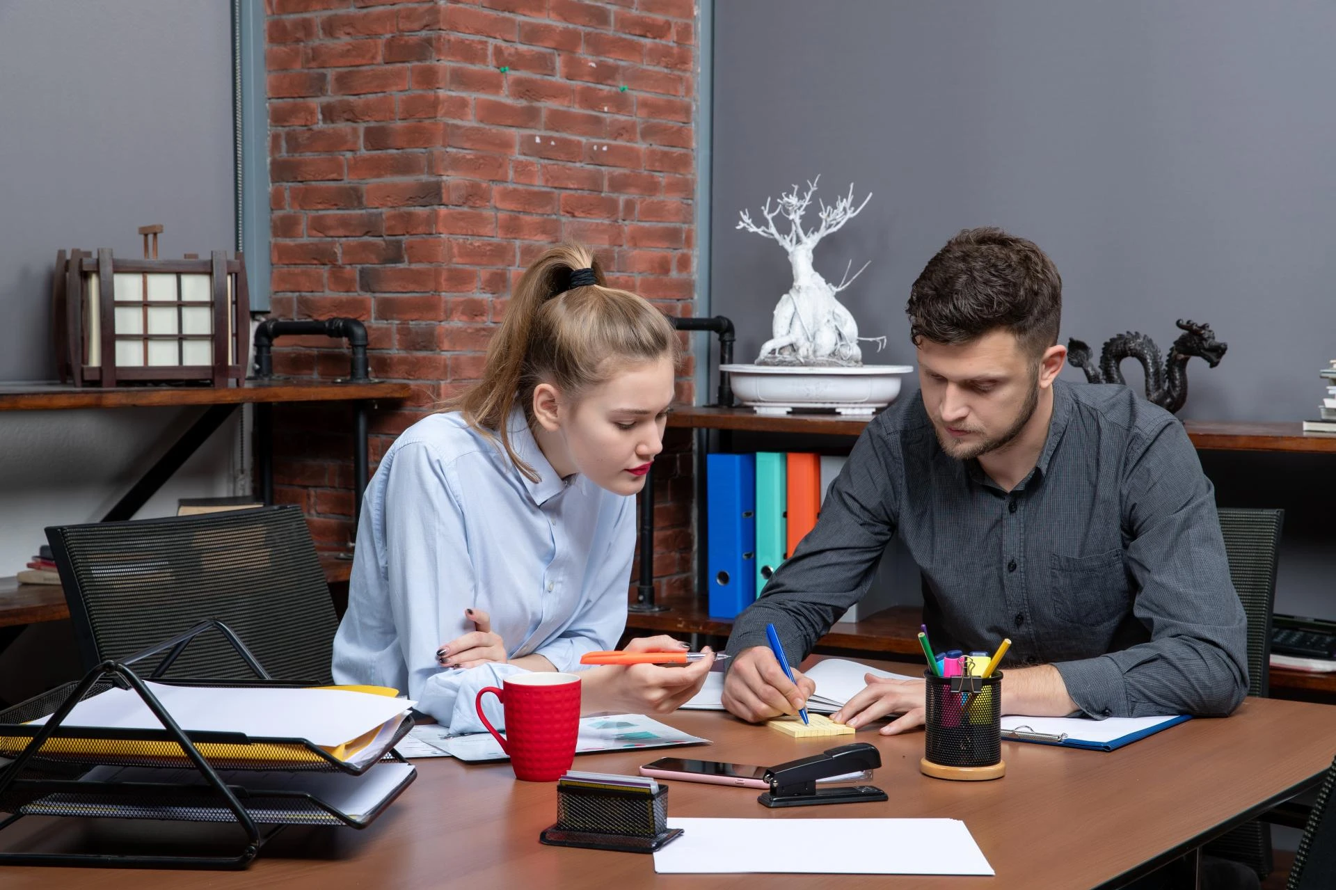Affordable R Studio Assignment Help with Guaranteed Accuracy