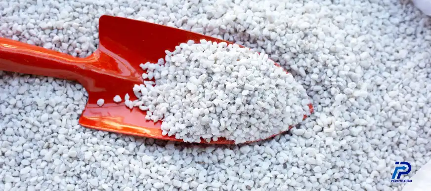 Propagating in Perlite: A Reliable Plant Propagation Solution Across Oregon