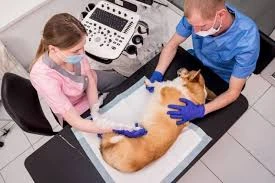 A Complete Guide to Safe and Accurate Diagnosis