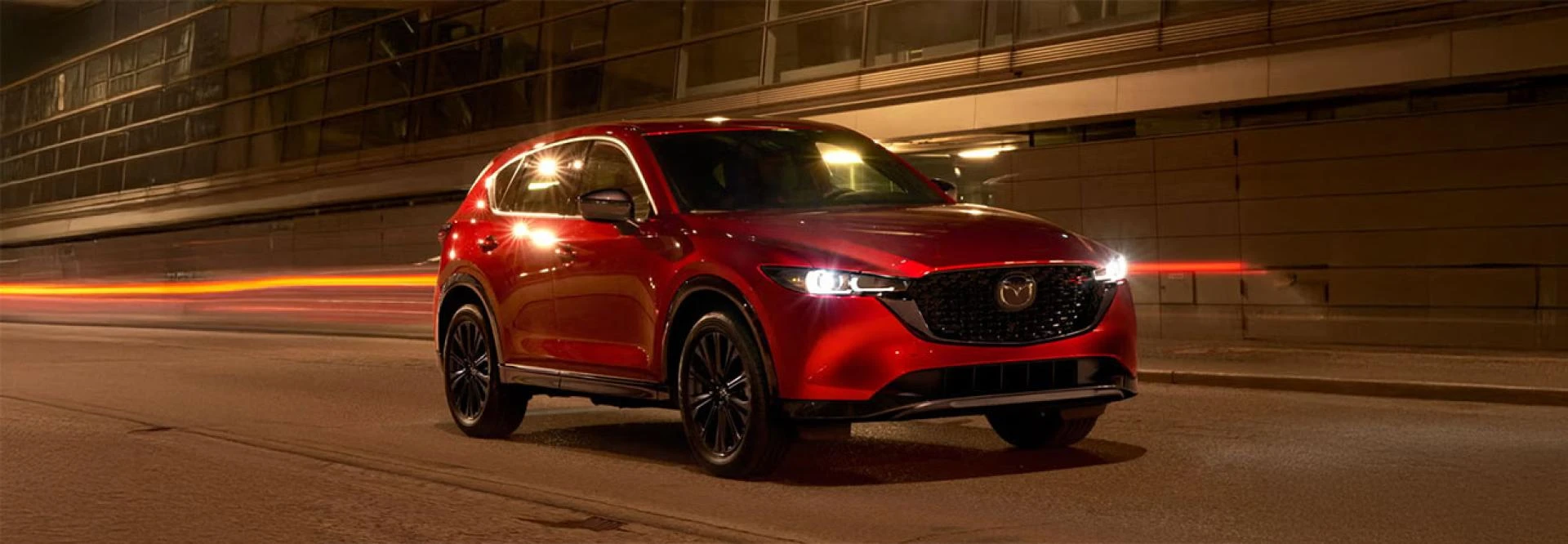 Used Cars for Sale in South Africa: Popular Types and Models