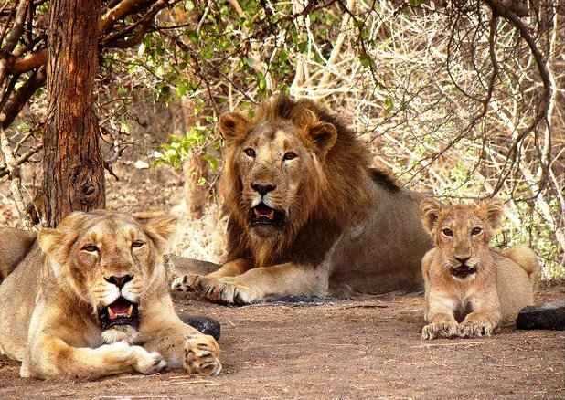 Is It Safe to Travel to South Africa?