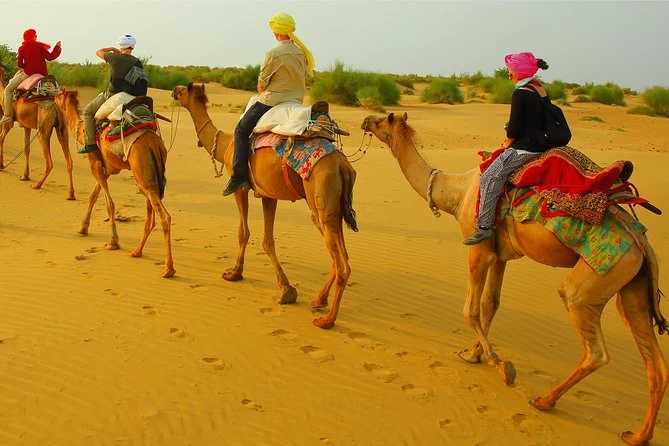 Thar Desert Serenity: A Guide to Local Jaisalmer Safaris