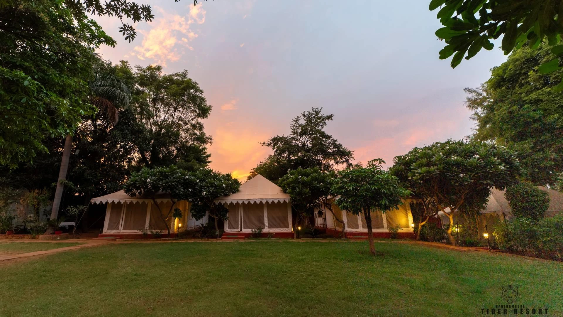 Jaipur to Ranthambore Tour: Forts, Tigers & Travel Tips
