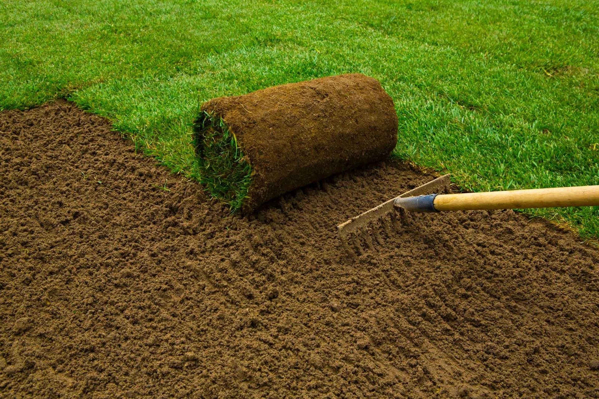 How Local Lawn Suppliers Provide Fresh, High-Quality Turf and Professional Guidance to Transform Your Outdoor Landscape