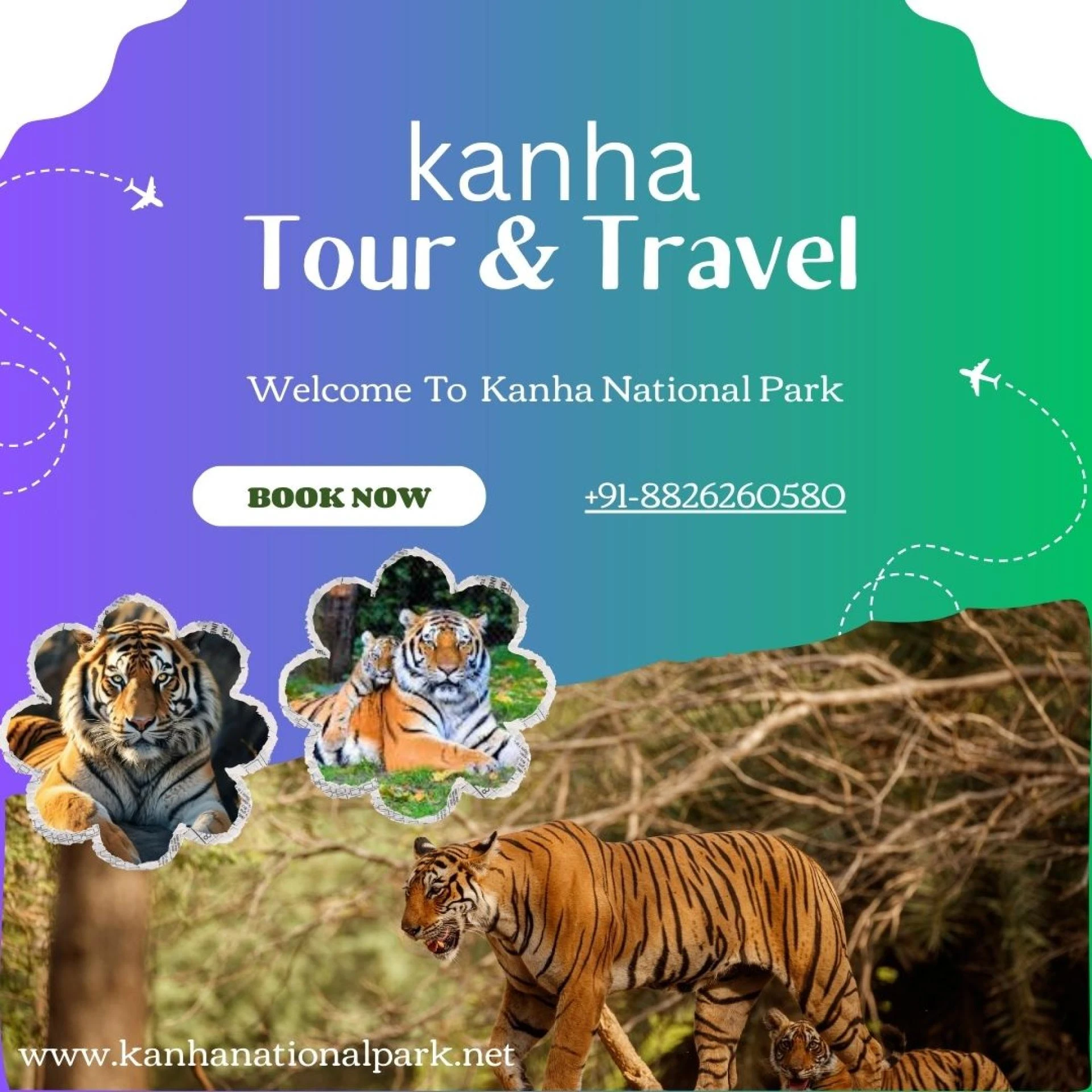 Wandering Wild: A Guest’s Soulful Journey into Kanha National Park