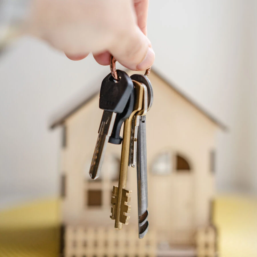 Multipoint Door Lock