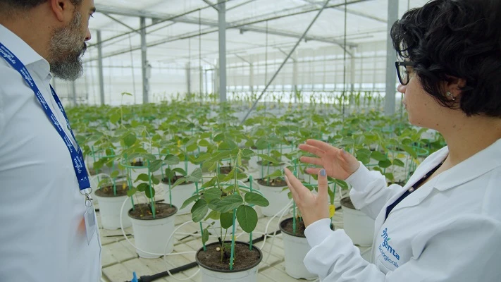 India Agricultural Biologicals Market Latest Trends, Size, Forecast 2026–2034
